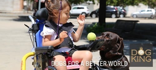 niña con perro de terapia y asistencia