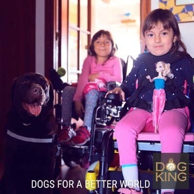 sara y sofía con bolet terapeuta canino